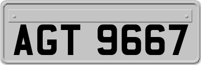 AGT9667