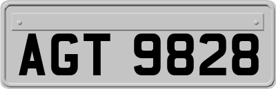 AGT9828