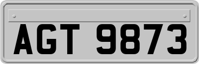 AGT9873