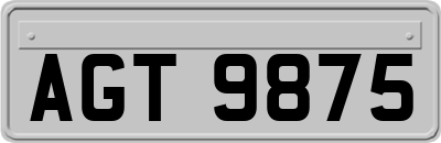 AGT9875