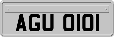 AGU0101