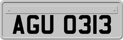 AGU0313