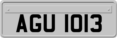 AGU1013