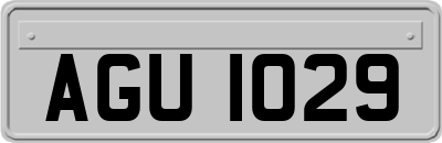 AGU1029