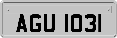 AGU1031