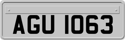 AGU1063