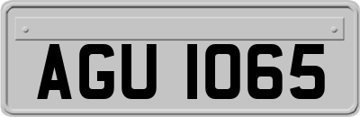 AGU1065