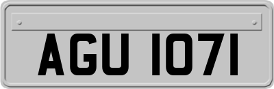 AGU1071