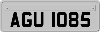 AGU1085