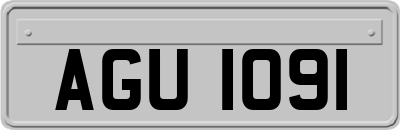 AGU1091