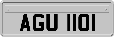 AGU1101