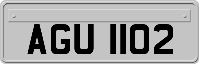AGU1102