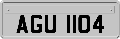 AGU1104
