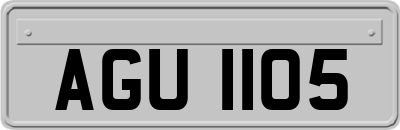 AGU1105
