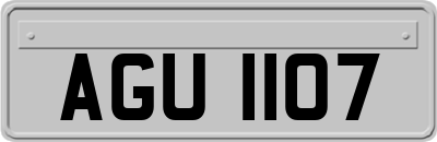 AGU1107