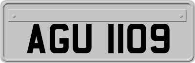 AGU1109