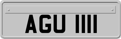 AGU1111