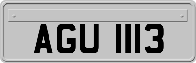 AGU1113
