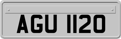 AGU1120