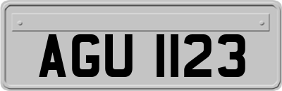AGU1123