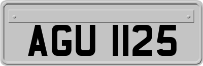 AGU1125