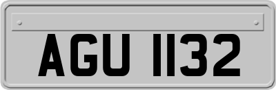 AGU1132