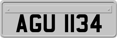 AGU1134