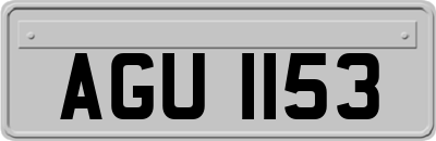 AGU1153
