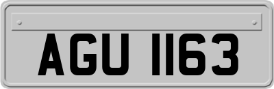AGU1163