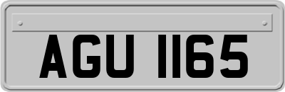 AGU1165