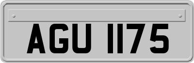 AGU1175