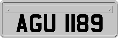 AGU1189