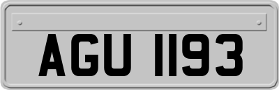 AGU1193