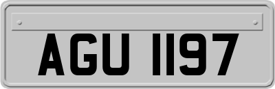 AGU1197