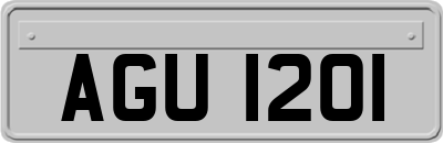 AGU1201