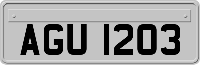 AGU1203