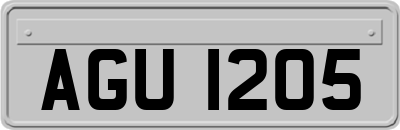 AGU1205