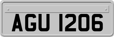 AGU1206