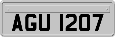 AGU1207