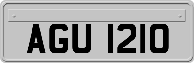 AGU1210