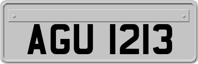 AGU1213