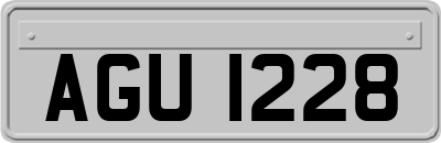 AGU1228
