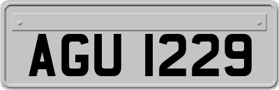 AGU1229