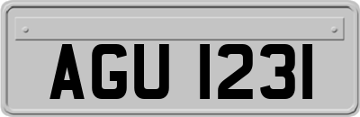 AGU1231