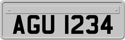 AGU1234