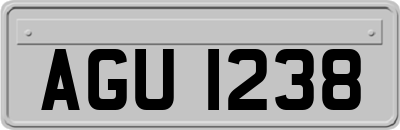 AGU1238