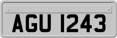 AGU1243