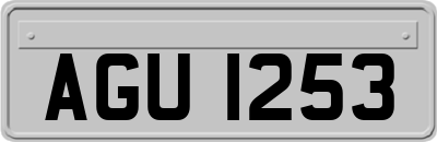 AGU1253