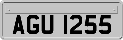 AGU1255