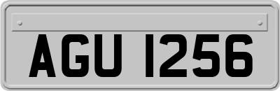 AGU1256